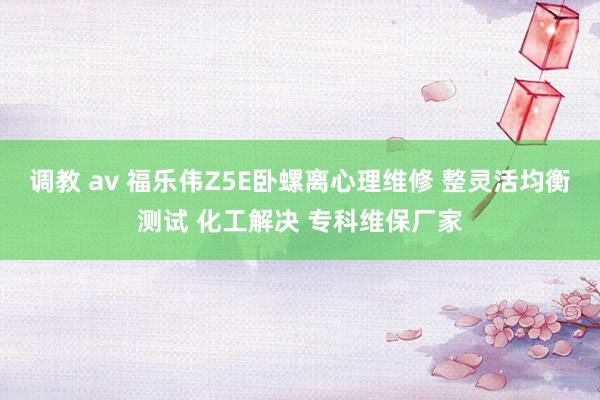 调教 av 福乐伟Z5E卧螺离心理维修 整灵活均衡测试 化工解决 专科维保厂家