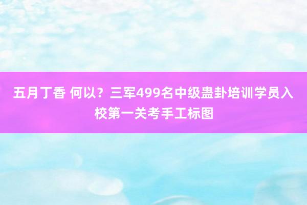 五月丁香 何以？三军499名中级蛊卦培训学员入校第一关考手工标图