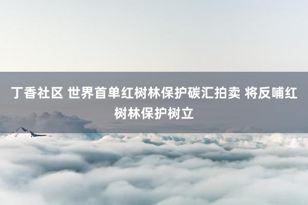 丁香社区 世界首单红树林保护碳汇拍卖 将反哺红树林保护树立