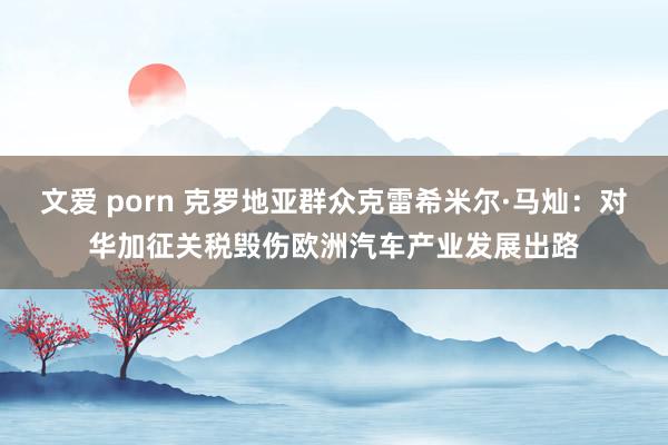 文爱 porn 克罗地亚群众克雷希米尔·马灿：对华加征关税毁伤欧洲汽车产业发展出路