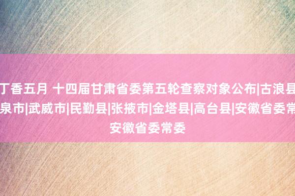 丁香五月 十四届甘肃省委第五轮查察对象公布|古浪县|酒泉市|武威市|民勤县|张掖市|金塔县|高台县|安徽省委常委