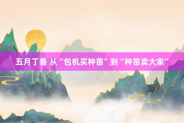 五月丁香 从“包机买种苗”到“种苗卖大家”