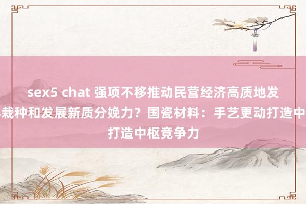 sex5 chat 强项不移推动民营经济高质地发展｜怎样栽种和发展新质分娩力？国瓷材料：手艺更动打造中枢竞争力